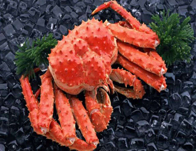 Những loại hải sản có giá đắt 